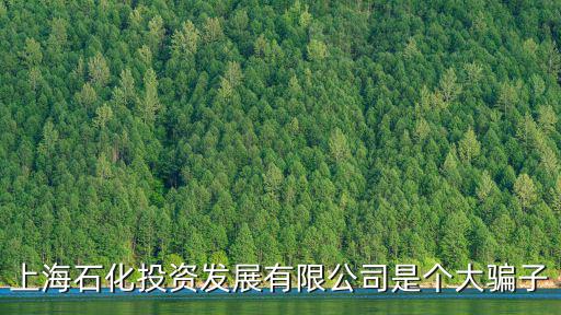 上海市石投資管理有限公司，上海資石投資管理有限公司是騙子公司嗎