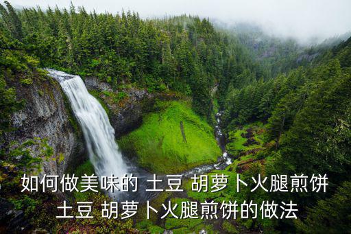 如何做美味的 土豆 胡蘿卜火腿煎餅 土豆 胡蘿卜火腿煎餅的做法