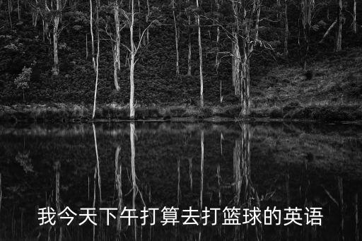 我今天下午打算去打籃球的英語