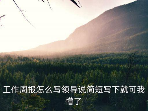 工作周報，工作周報有什么意義
