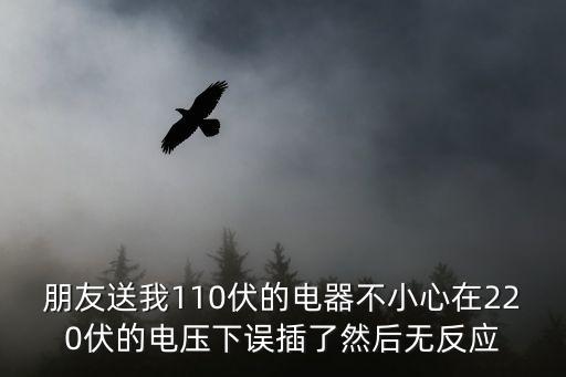 朋友送我110伏的電器不小心在220伏的電壓下誤插了然后無反應