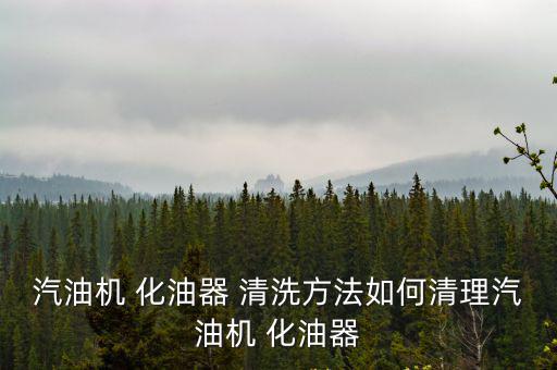 汽油機 化油器 清洗方法如何清理汽油機 化油器