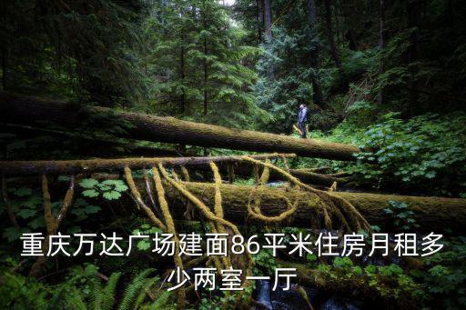 重慶萬(wàn)達(dá)廣場(chǎng)建面86平米住房月租多少兩室一廳