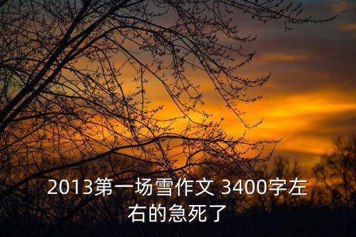 2013第一場雪作文 3400字左右的急死了
