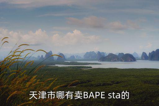 天津市哪有賣BAPE sta的