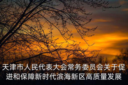 天津市人民代表大會(huì)常務(wù)委員會(huì)關(guān)于促進(jìn)和保障新時(shí)代濱海新區(qū)高質(zhì)量發(fā)展