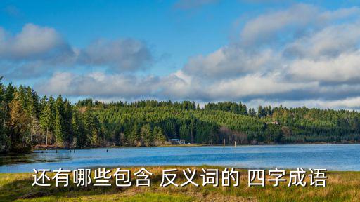 含反義詞的四字詞語,四字詞語:左右、黑白、首尾都是反義詞