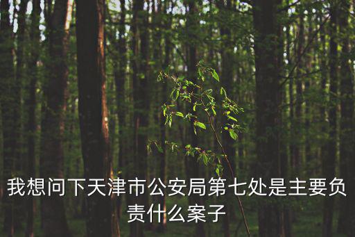 我想問下天津市公安局第七處是主要負責什么案子