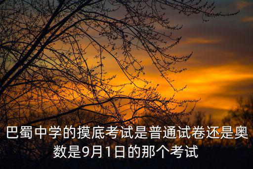 巴蜀中學的摸底考試是普通試卷還是奧數是9月1日的那個考試