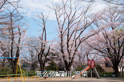 怎么做 四川 泡菜