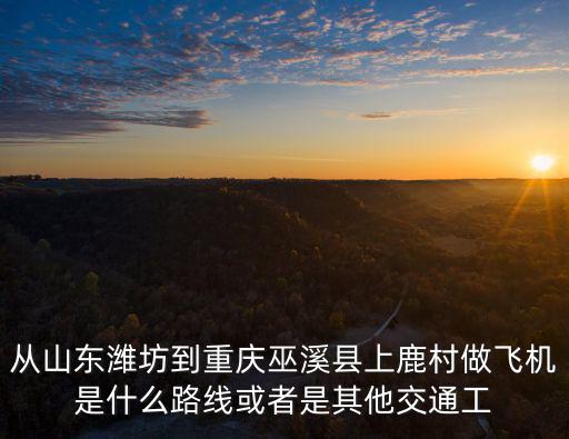 從山東濰坊到重慶巫溪縣上鹿村做飛機是什么路線或者是其他交通工