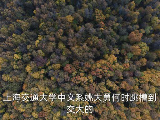 上海市大學文理學院副院長姚副院長，上海交通大學中文系姚大勇何時跳槽到交大的