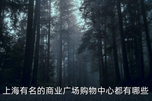 上海十大購物中心排行，上海的大型購物中心有哪些