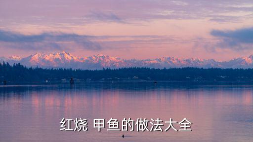紅燒 甲魚(yú)的做法大全