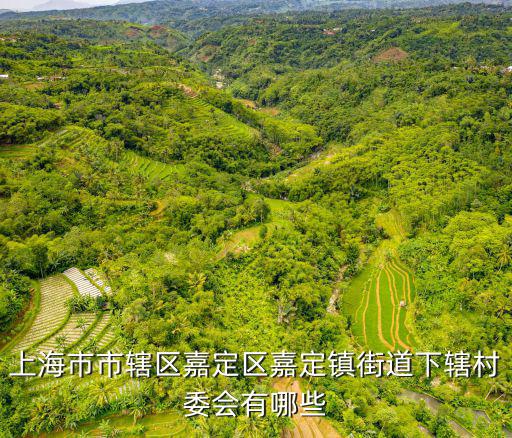 上海市上海市嘉定區嘉定鎮，上海市市轄區嘉定區下轄街道辦事處有哪些