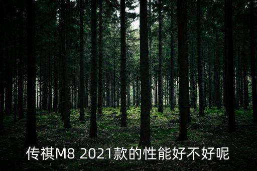 天津市傳祺m8大師版，想知道 天津市 天津友鵬永悅有限公司地址在什么區 在哪