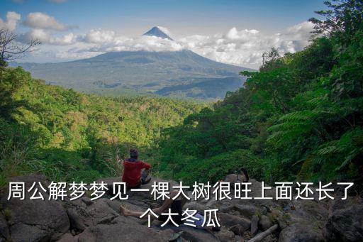 夢見冬瓜，周公解夢夢見一棵大樹很旺上面還長了個大冬瓜