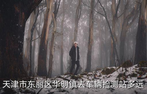 天津市東麗區華明鎮去車輛撿測站多遠