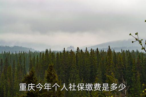 今年重慶市梁平區(qū)醫(yī)保交多少，2020年重慶職工醫(yī)保二檔交多少錢