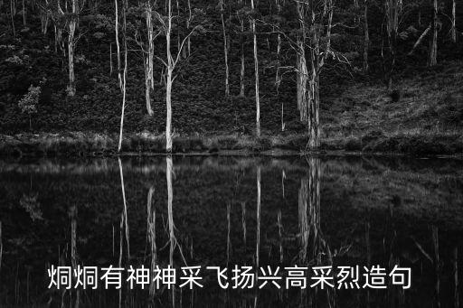 烔烔有神神采飛揚興高采烈造句