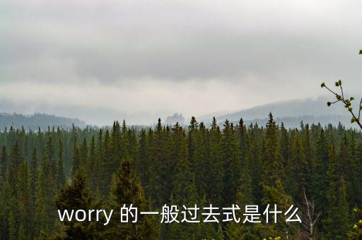 worry 的一般過去式是什么