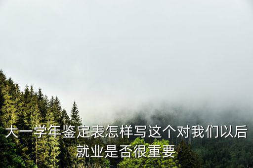 大一學年鑒定表怎樣寫這個對我們以后就業是否很重要