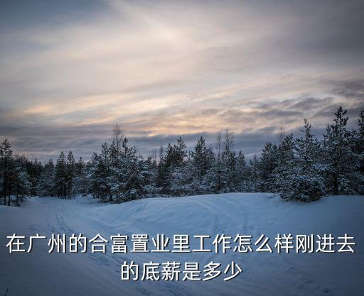 在廣州的合富置業里工作怎么樣剛進去的底薪是多少