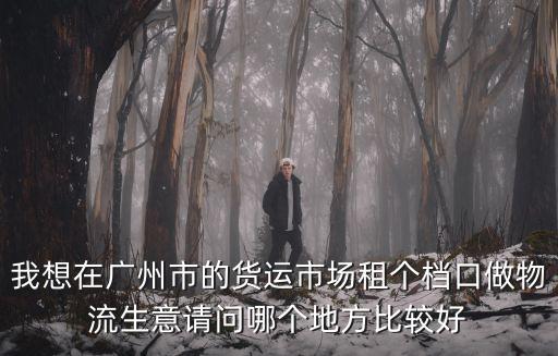 我想在廣州市的貨運市場租個檔口做物流生意請問哪個地方比較好
