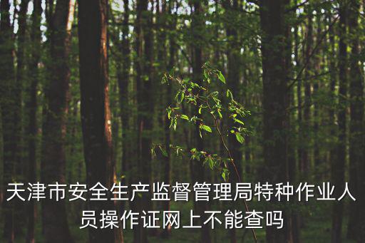天津市安全生產監督管理局特種作業人員操作證網上不能查嗎
