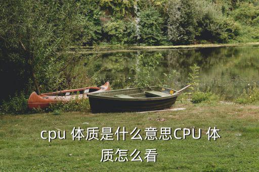  cpu 體質(zhì)是什么意思CPU 體質(zhì)怎么看