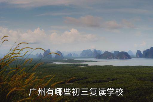 廣州有哪些初三復讀學校