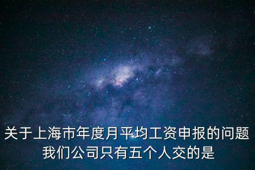 關于上海市年度月平均工資申報的問題 我們公司只有五個人交的是