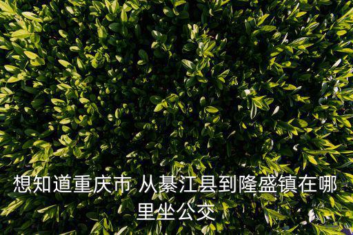 重慶市綦江區隆盛鎮隆盛中學，重慶市綦江縣隆盛鎮哪天趕集