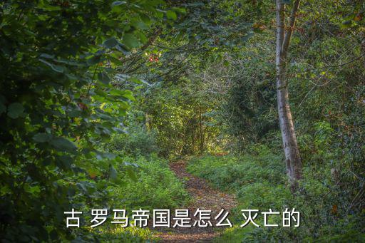 古 羅馬帝國是怎么 滅亡的