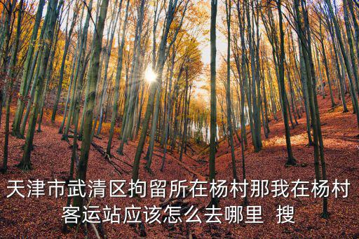 天津市武清區拘留所在楊村那我在楊村客運站應該怎么去哪里  搜
