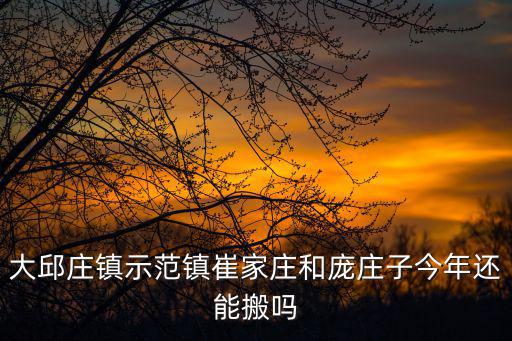 大邱莊鎮示范鎮崔家莊和龐莊子今年還能搬嗎