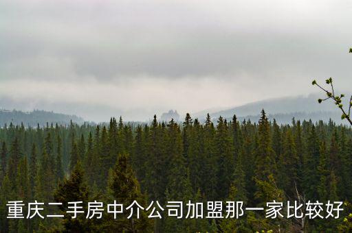 重慶二手房中介公司加盟那一家比較好