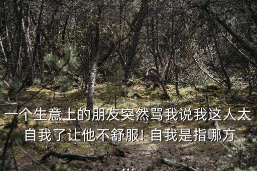 一個生意上的朋友突然罵我說我這人太 自我了讓他不舒服! 自我是指哪方...