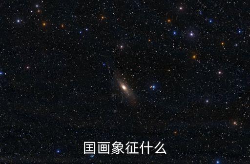 囯畫象征什么