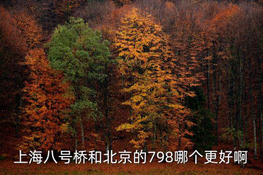 上海八號(hào)橋和北京的798哪個(gè)更好啊
