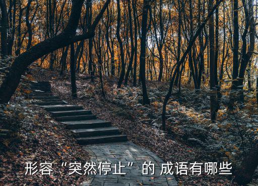 形容“突然停止”的 成語有哪些