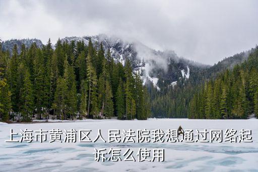 上海市黃浦區人民法院我想通過網絡起訴怎么使用