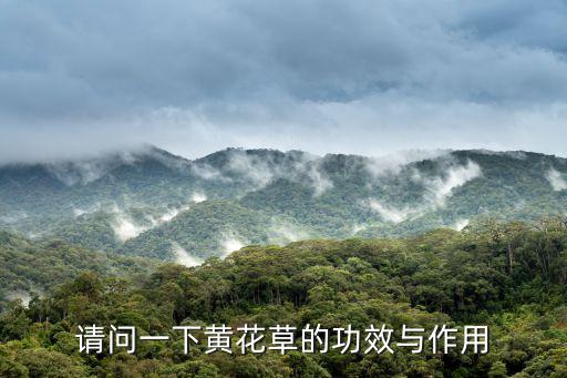 排草的功效與作用,防病治病必備的五種藥