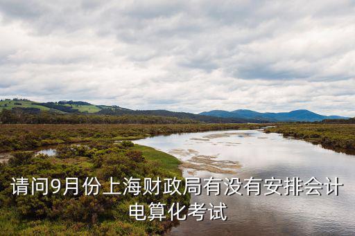 請問9月份上海財政局有沒有安排會計電算化考試