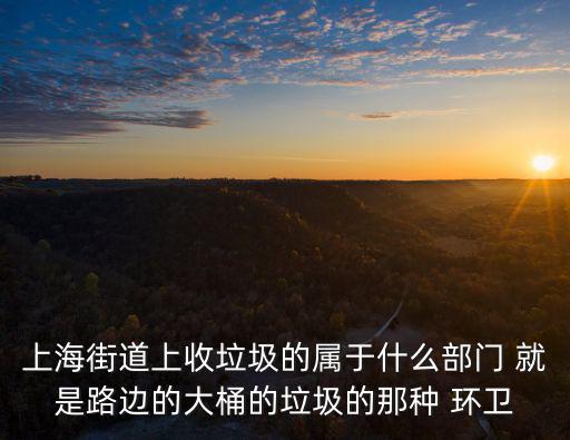 上海街道上收垃圾的屬于什么部門 就是路邊的大桶的垃圾的那種 環衛