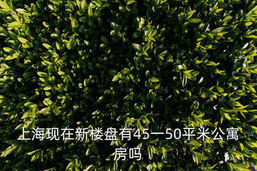 上海現在新樓盤有45一50平米公寓房嗎