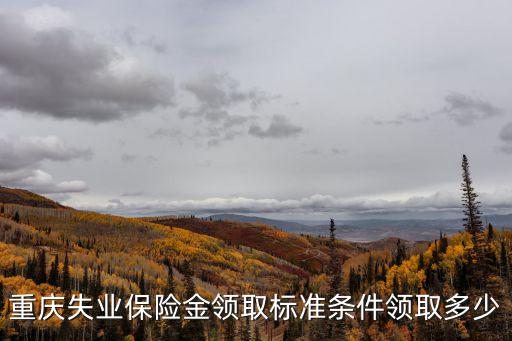 重慶市失業保險研究，重慶失業保險金領取標準條件領取多少