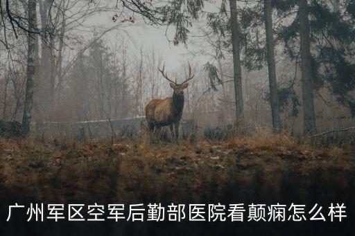 廣州軍區空軍后勤部醫院看顛癇怎么樣