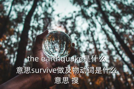 survive是什么意思，survive名詞