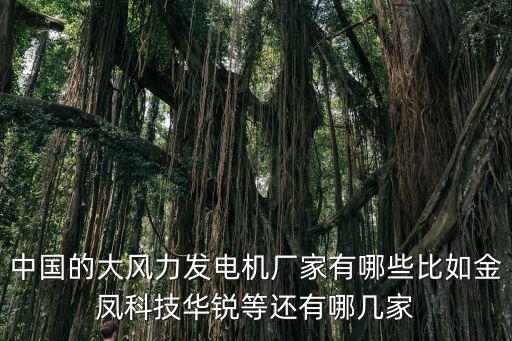 中國的大風力發電機廠家有哪些比如金鳳科技華銳等還有哪幾家